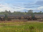TCBX 305750